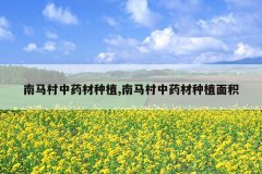 <b>��������ҩ����ֲ,��������ҩ����ֲ���</b>