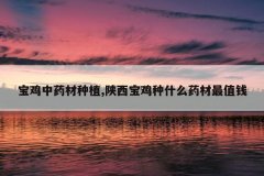 <b>������ҩ����ֲ,����������ʲôҩ����ֵǮ</b>