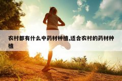 <b>ũ�嶼��ʲô��ҩ����ֲ,�ʺ�ũ���ҩ����ֲ</b>