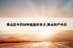 <b>��ɽ����ҩ����ֲ�������,��ɽ�ز���ҩ</b>