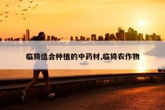 <b>����ʺ���ֲ����ҩ��,���ũ����</b>