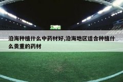 <b>�غ���ֲʲô��ҩ�ĺ�,�غ������ʺ���ֲʲô���ص�ҩ��</b>