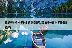 <b>������ֲ��ҩ��ǰ�����,������ֲ��ҩ��׬Ǯ��</b>