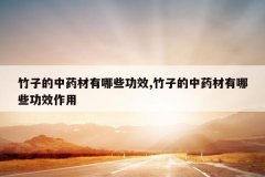 <b>���ӵ���ҩ������Щ��Ч,���ӵ���ҩ������Щ��Ч����</b>