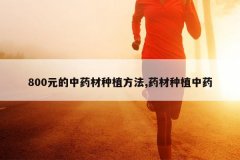 <b>800Ԫ����ҩ����ֲ����,ҩ����ֲ��ҩ</b>