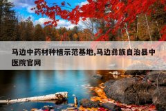 <b>������ҩ����ֲʾ������,����������������ҽԺ����</b>