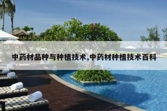 <b>��ҩ��Ʒ������ֲ����,��ҩ����ֲ�����ٿ�</b>