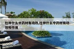 <b>����ʲô��ҩ���й�Ч,����ʲô��ҩ���й�Ч������</b>