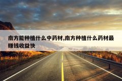 <b>�Ϸ�����ֲʲô��ҩ��,�Ϸ���ֲʲôҩ����׬Ǯ�����</b>