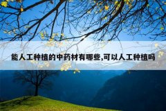 <b>���˹���ֲ����ҩ������Щ,�����˹���ֲ��</b>