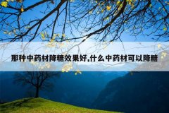 <b>������ҩ�Ľ���Ч����,ʲô��ҩ�Ŀ��Խ���</b>