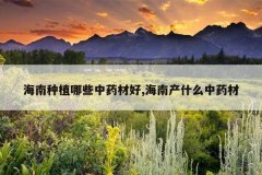 <b>������ֲ��Щ��ҩ�ĺ�,���ϲ�ʲô��ҩ��</b>