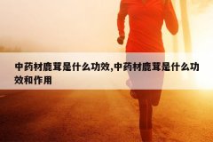 <b>��ҩ��¹����ʲô��Ч,��ҩ��¹����ʲô��Ч������</b>