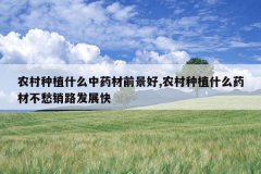 <b>ũ����ֲʲô��ҩ��ǰ����,ũ����ֲʲôҩ�Ĳ�����·��չ��</b>