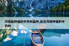 <b>��������ֲ����ҩ��Ʒ��,�ʺϺ�����ֲ����ҩ��</b>