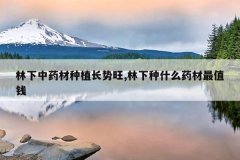 <b>������ҩ����ֲ������,������ʲôҩ����ֵǮ</b>