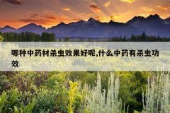 <b>������ҩ��ɱ��Ч������,ʲô��ҩ��ɱ�湦Ч</b>