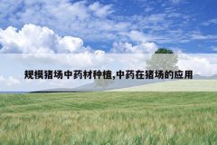 <b>��ģ������ҩ����ֲ,��ҩ��������Ӧ��</b>