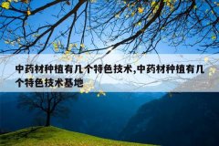 <b>��ҩ����ֲ�м�����ɫ����,��ҩ����ֲ�м�����ɫ��������</b>
