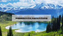 <b>��ֲ�������ҩ��,Ч��õ���ҩ����ֲ</b>