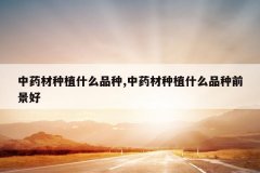 <b>��ҩ����ֲʲôƷ��,��ҩ����ֲʲôƷ��ǰ����</b>