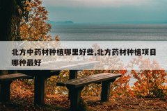 <b>������ҩ����ֲ�����Щ,����ҩ����ֲ��Ŀ�������</b>