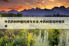 <b>��ҩҩ����ֲʱ���뷽��,��ҩ��������ֲ����</b>