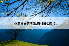 <b>��ҩ�ĵ�ҩ��Ч,ҩ�ĵ���ͼƬ</b>