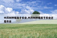 <b>��ҩ����ֲ����ũҵ,��ҩ����ֲ����ũҵ����ũҵ</b>