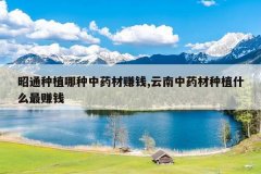 <b>��ͨ��ֲ������ҩ��׬Ǯ,������ҩ����ֲʲô��׬Ǯ</b>