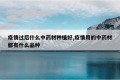 <b>�������ʲô��ҩ����ֲ��,�����õ���ҩ�Ķ���ʲôƷ��</b>