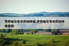 <b>�����������ҩ����ֲ,�����������ҩ����ֲ����</b>