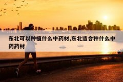 <b>����������ֲʲô��ҩ��,�����ʺ���ʲô��ҩҩ��</b>