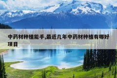 <b>��ҩ����ֲ����,���������ҩ����ֲ���ĺ���Ŀ</b>