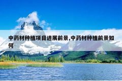 <b>��ҩ����ֲ��Ŀ��չǰ��,��ҩ����ֲǰ�����</b>