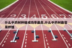 <b>ʲô��ҩ����ֲ�ɹ������,ʲô��ҩ����������ֲ</b>