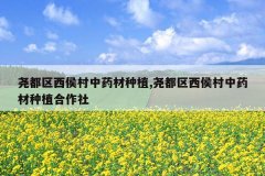 <b>Ң�����������ҩ����ֲ,Ң�����������ҩ����ֲ������</b>