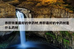 <b>����Ч����õ���ҩ��,������õ���ҩ����ʲôҩ��</b>