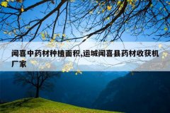 <b>��ϲ��ҩ����ֲ���,�˳���ϲ��ҩ���ջ������</b>