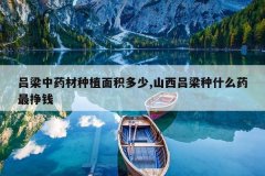 <b>������ҩ����ֲ�������,ɽ��������ʲôҩ����Ǯ</b>