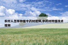 <b>ũ����������ֲ��ҩ����Ƶ,��ҩ����ֲ������Ƶ</b>