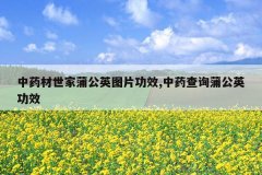 <b>��ҩ�������ѹ�ӢͼƬ��Ч,��ҩ��ѯ�ѹ�Ӣ��Ч</b>