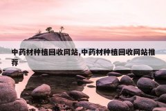 <b>��ҩ����ֲ������վ,��ҩ����ֲ������վ�Ƽ�</b>