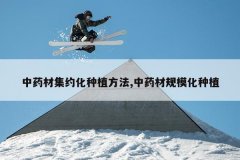 <b>��ҩ�ļ�Լ����ֲ����,��ҩ�Ĺ�ģ����ֲ</b>