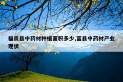 <b>��������ҩ����ֲ�������,������ҩ�Ĳ�ҵ��״</b>