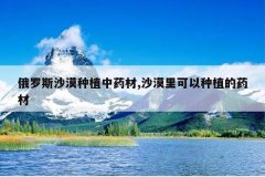 <b>˹ɳĮֲҩ,ɳĮֲҩ</b>