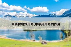 <b>��ҩ�Ĺ�Ч��ܺ,�в�ҩ��ܺ������</b>