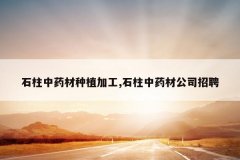 <b>ʯ����ҩ����ֲ�ӹ�,ʯ����ҩ�Ĺ�˾��Ƹ</b>