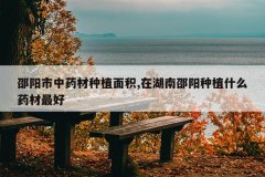 <b>��������ҩ����ֲ���,�ں���������ֲʲôҩ�����</b>