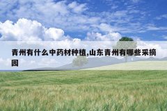 <b>������ʲô��ҩ����ֲ,ɽ����������Щ��ժ԰</b>